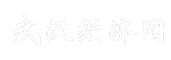 武汉经济网